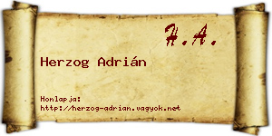 Herzog Adrián névjegykártya