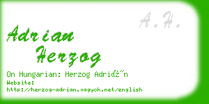 adrian herzog business card
